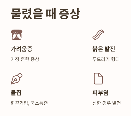 진드기에 물렸을 때 증상