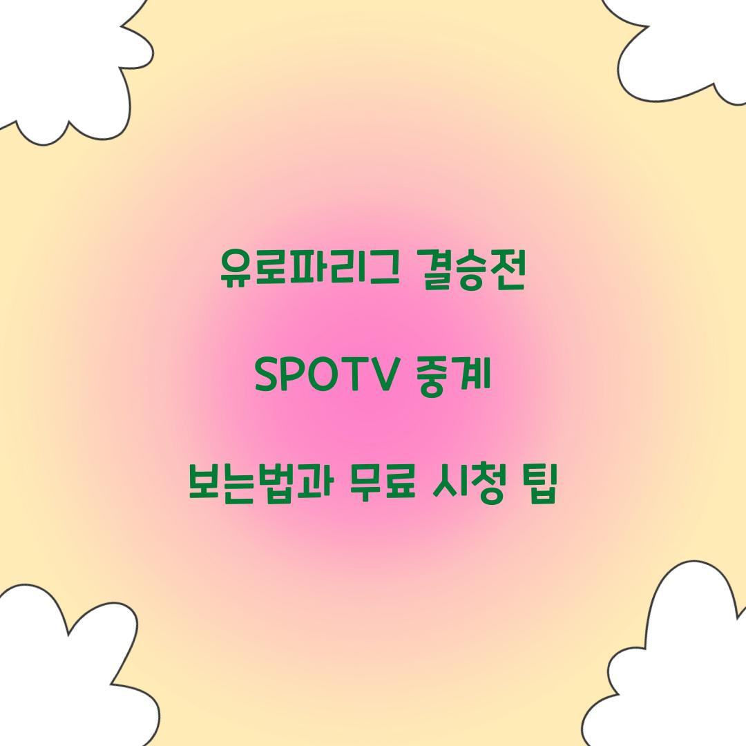 유로파리그 결승전 SPOTV 중계 보는법