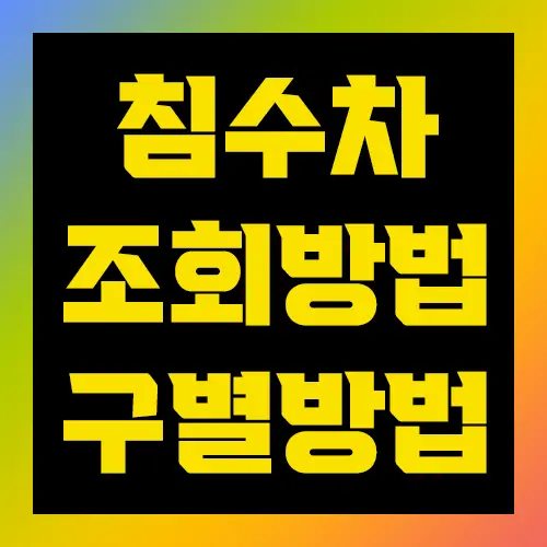 침수차 조회방법 구별방법