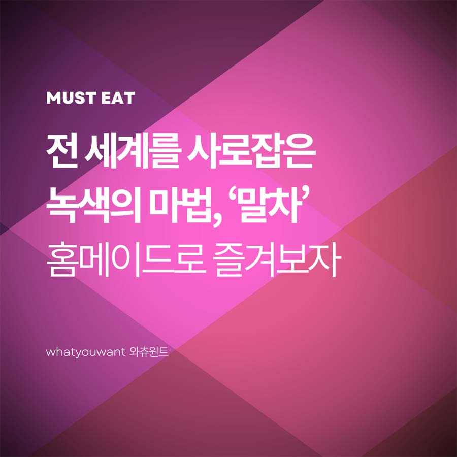 글로벌 슈퍼푸드 말차의 모든 것