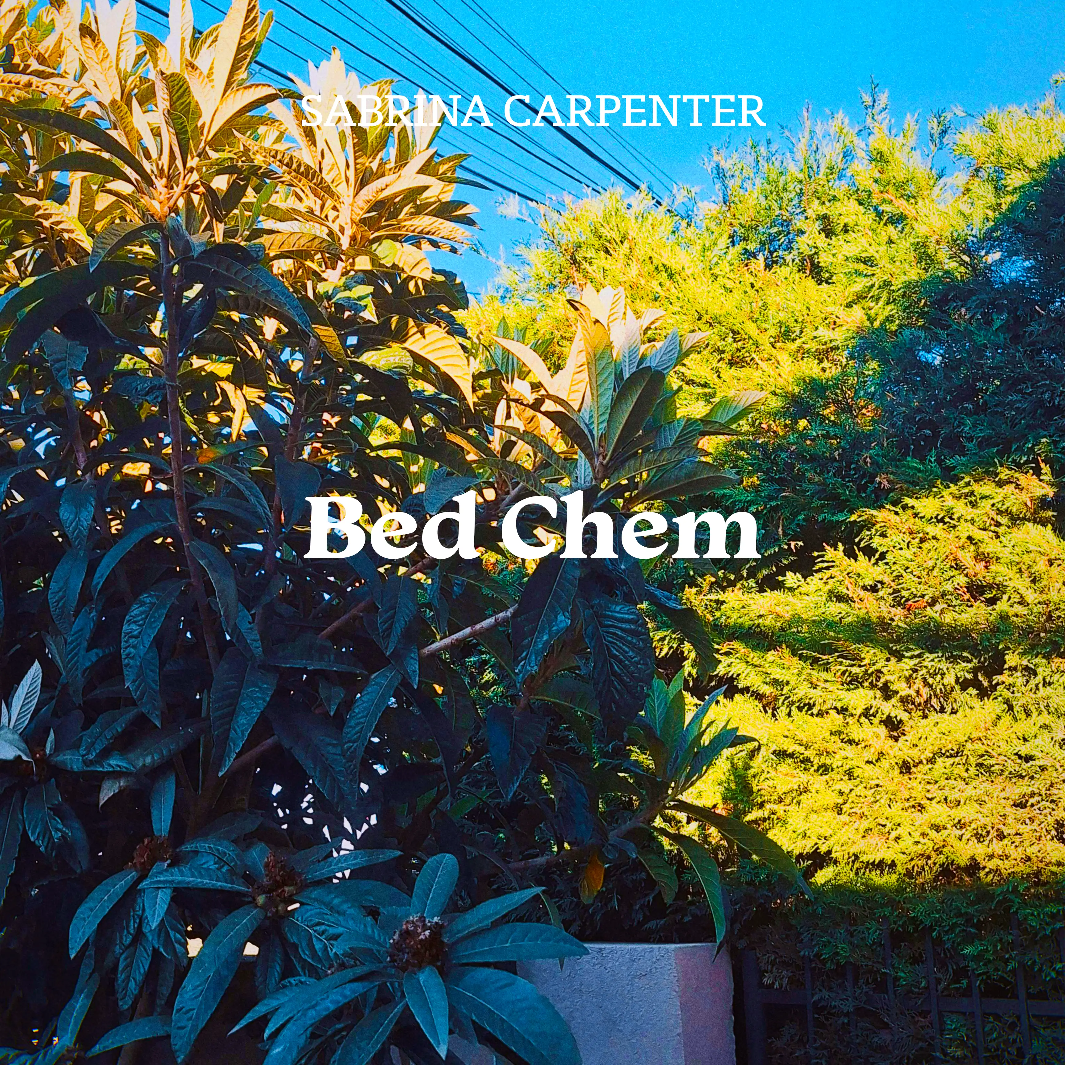 bed chem 가사 해석 및 노래듣기