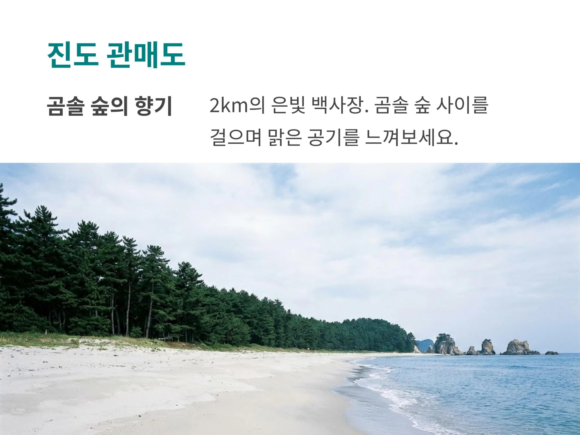 넓게 펼쳐진 은빛 백사장과 그 뒤를 감싸는 울창한 곰솔 숲 풍경 사진에 '곰솔 숲의 향기, 2km의 은빛 백사장, 곰솔 숲 사이를 걸으며 맑은 공기를 느껴보세요' 문구가 적힌 이미지