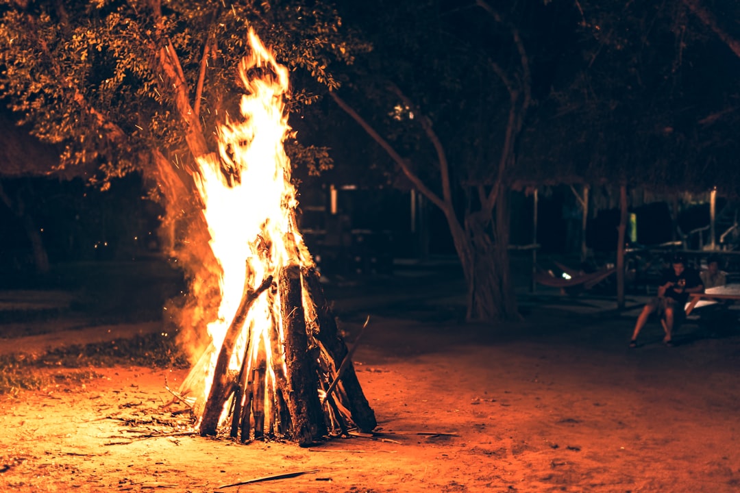 Flame Tree