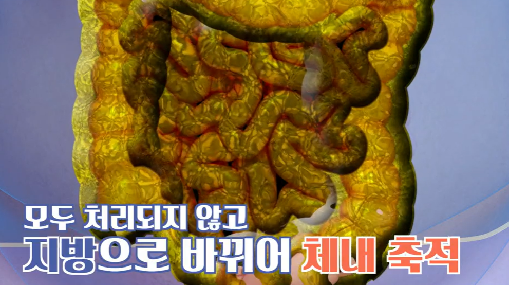 bnr17유산균 효능