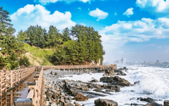 가을단풍 단풍버스 당일여행