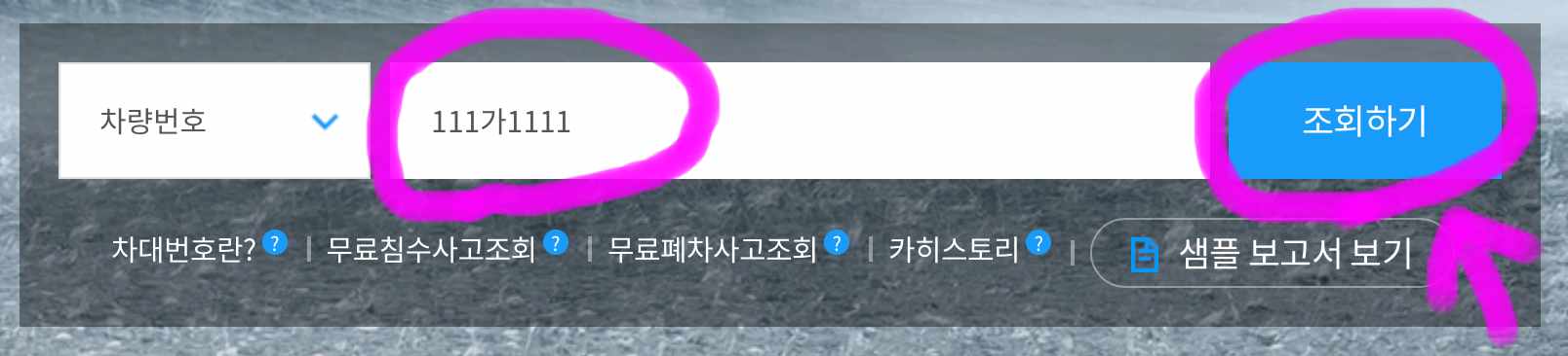 차량번호를 띄어쓰기 없이 적고 조회하기를 클릭해 줍니다.