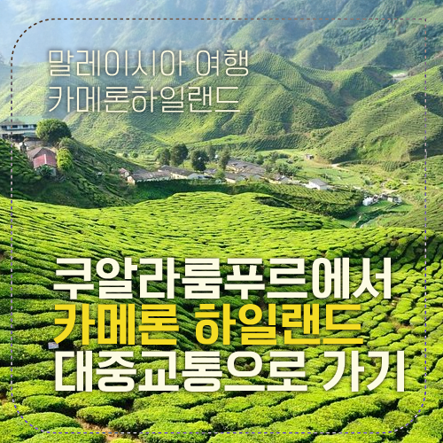 카메론 섬네일