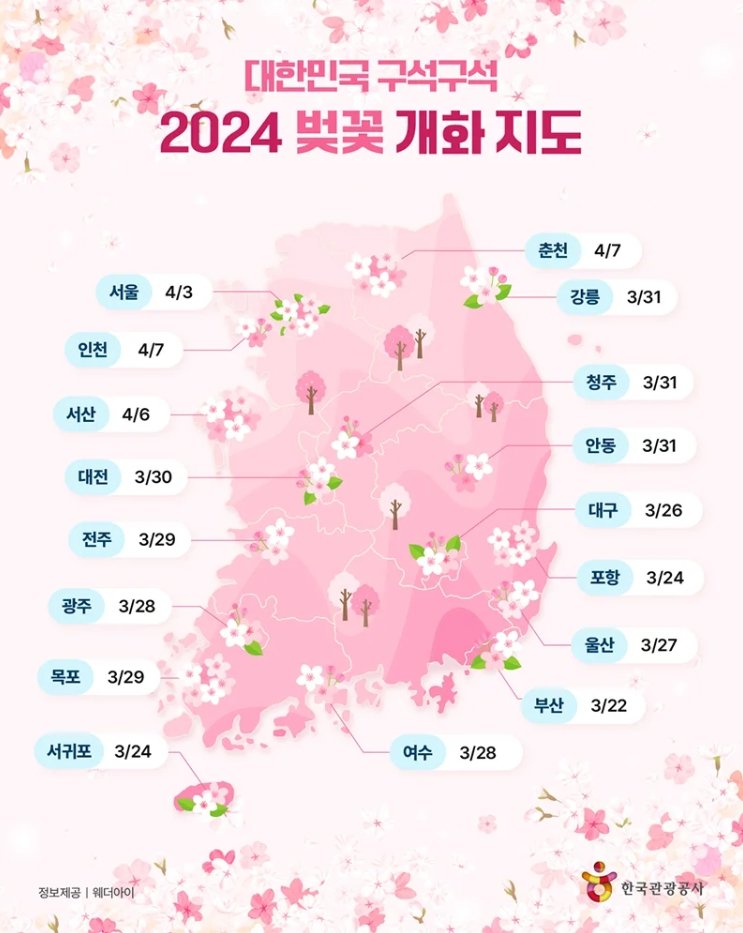 국내 벚꽃축제 BEST 06 2024 벚꽃 개화시기 정리