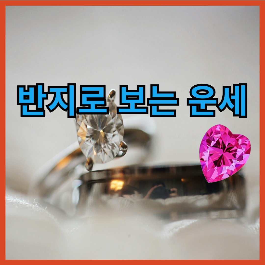 반지-운세