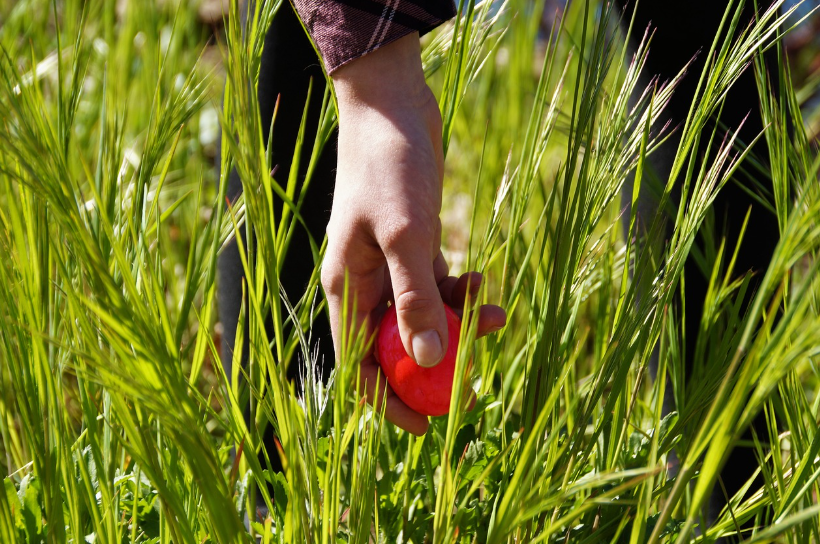 면역력을 높이는 최고의 습관 관련 사진