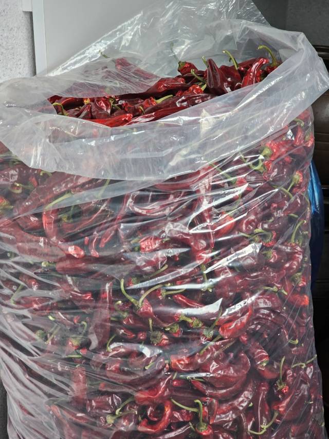 영천 장날에 구매한 건고추(2)