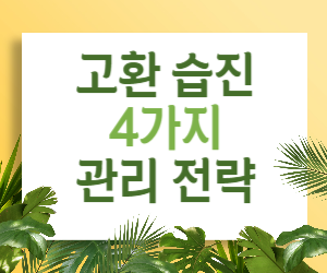 고환 습진 4가지 관리 전략