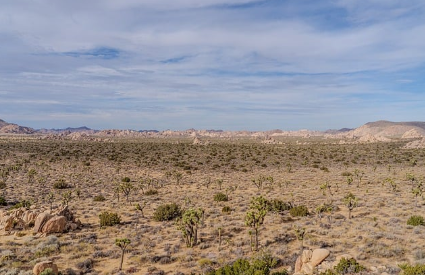 사막 한가운데에서 캠핑하기 – 생존과 낭만 사이