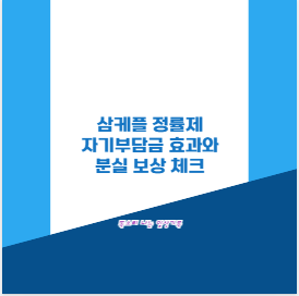 삼케플 정률제 자기부담금 효과와 분실 보상 체크