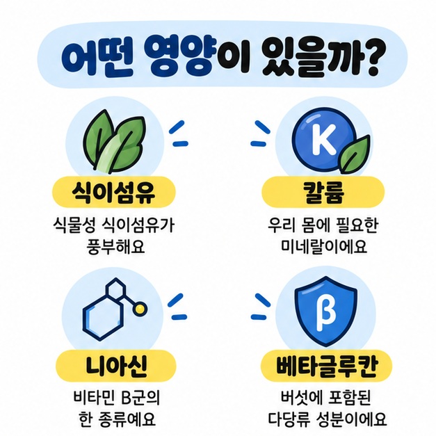 식이섬유와 칼륨, 니아신, 베타글루칸 등 느타리버섯의 주요 영양 성분을 아이콘으로 정리한 이미지