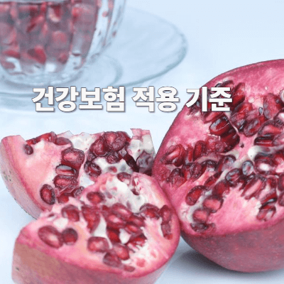 건강보험 적용 기준