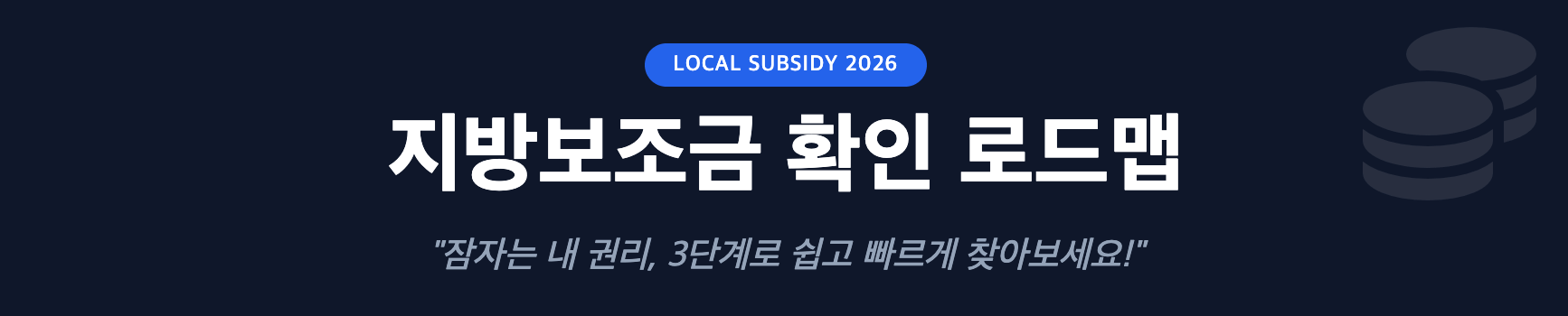 지방보조금 확인 로드맵 인포그래픽