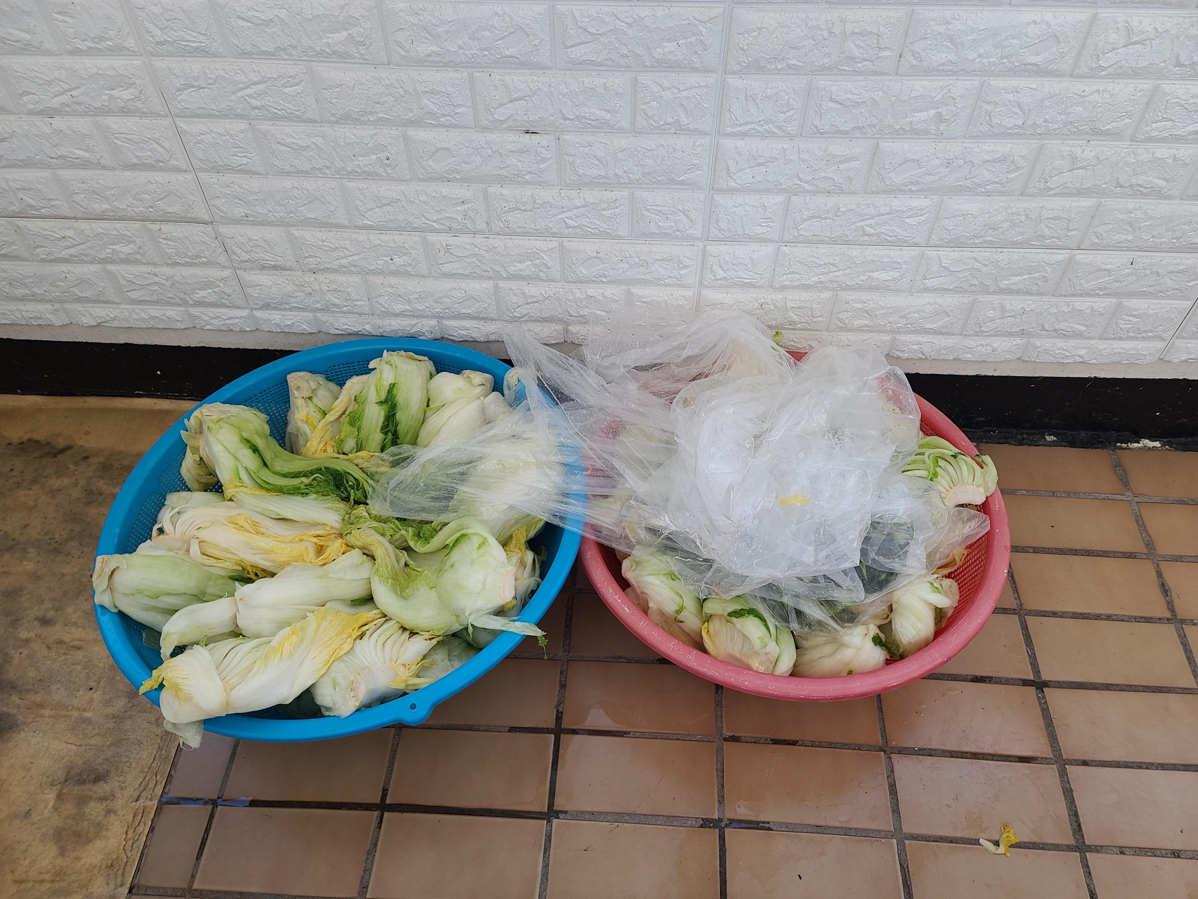 김장 언제 하셨어요?