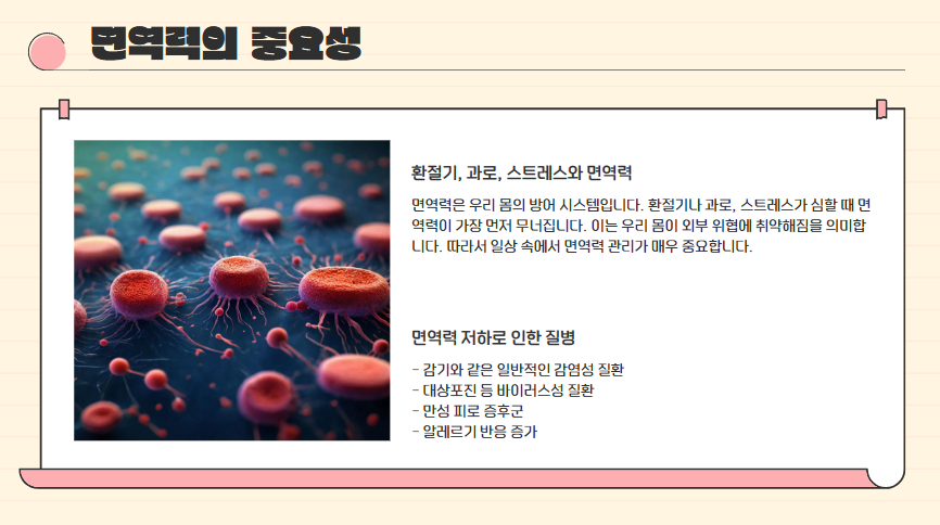 면역력 높이는 식단과 영양제 추천