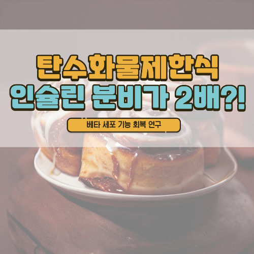 제2형 당뇨병, 약 없이 관리 가능할까? 탄수화물 제한식의 놀라운 효과 (베타세포 기능 회복 연구)