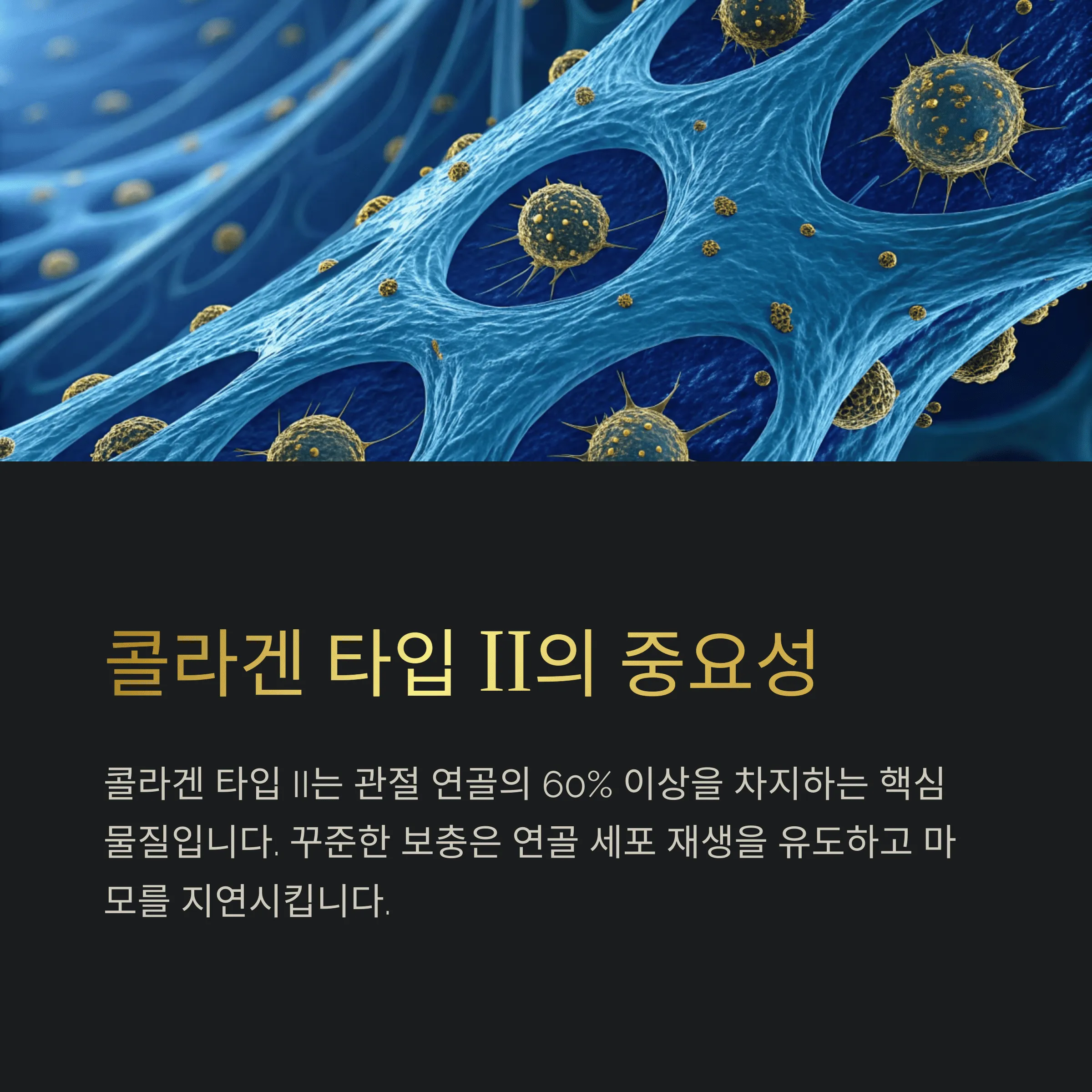 관절 건강에 효과적인 영양제 성분, 꼭 챙겨야 할 이유