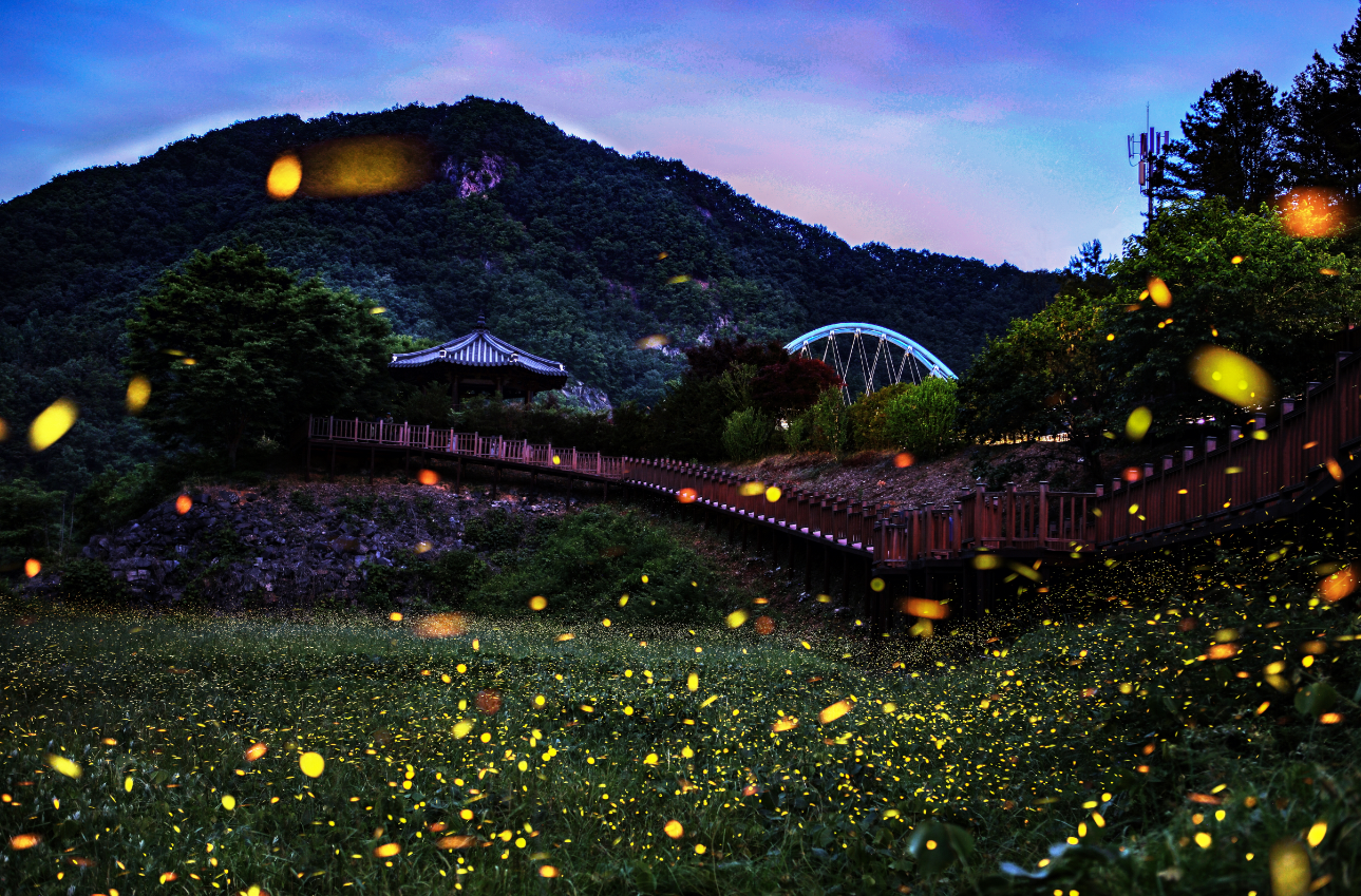 무주 가볼만한 곳 베스트10