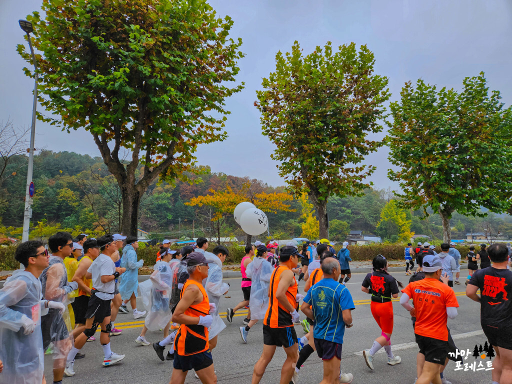 춘천 마라톤 10K 마라톤