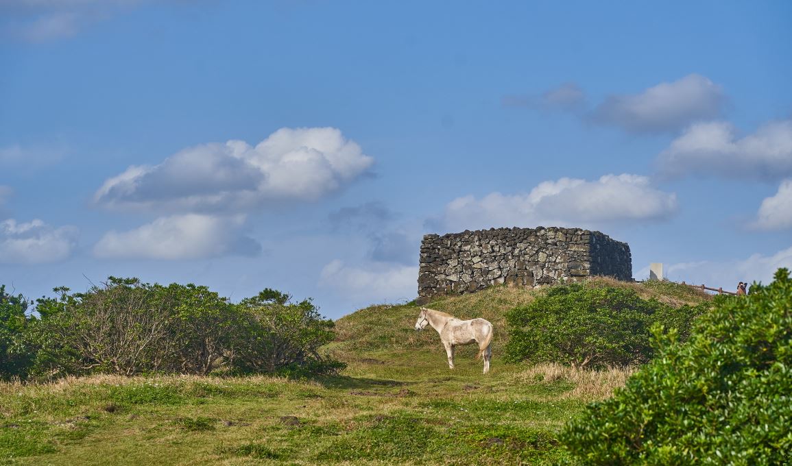 제주도 가볼만한곳 베스트10