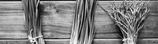 부추 심는시기: 병해충 관리