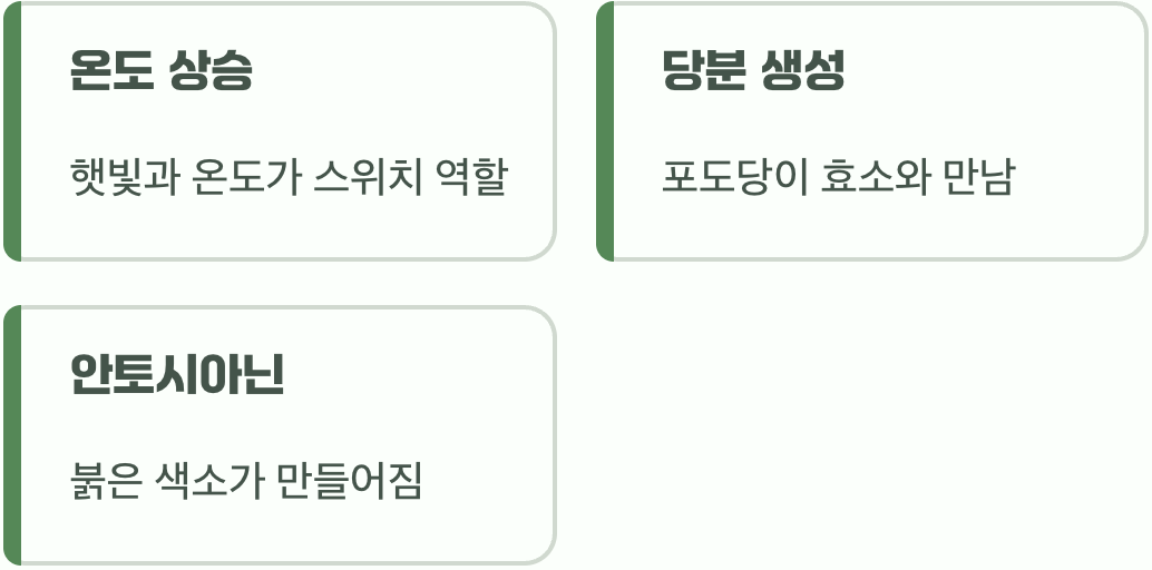 햇살이 그리는 붉은 그림