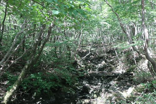 성판악15