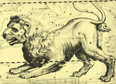 황도 12궁 별자리 사자자리