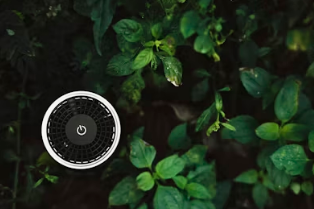 미세먼지 앱 추천 및 실시간 농도 확인 가이드