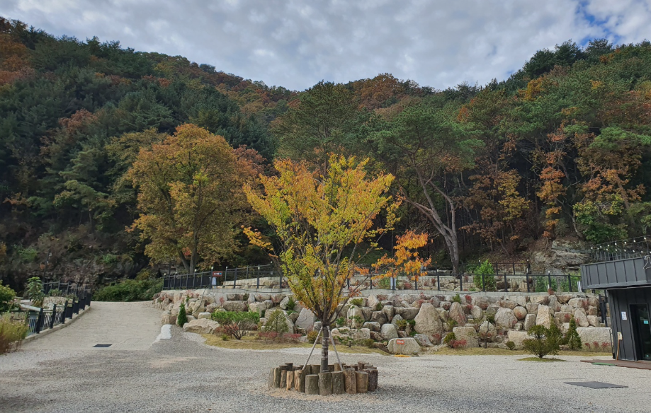 경기-포천-산정호수-돌고래캠핑장-사진-입니다.