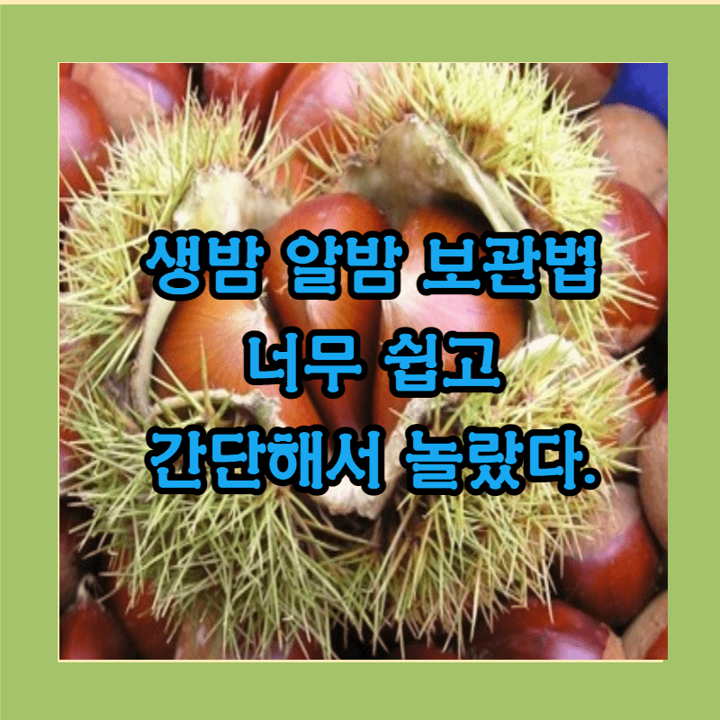 알밤 보관법