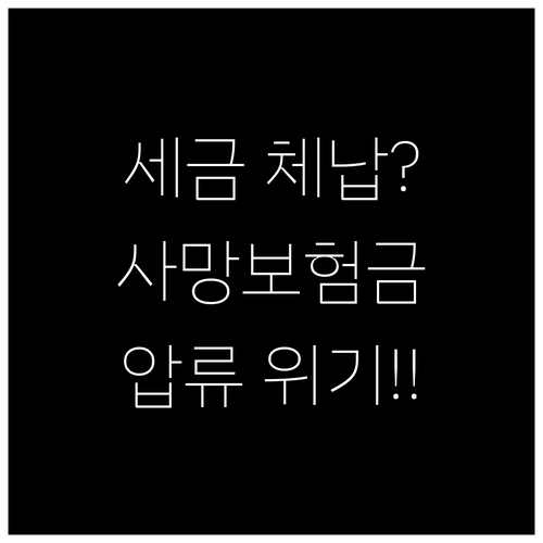 세금 체납 시 사망보험금 압류 위험 ..