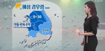 우박 예보 차량 보호 담요 준비 주차 위치 팁_6