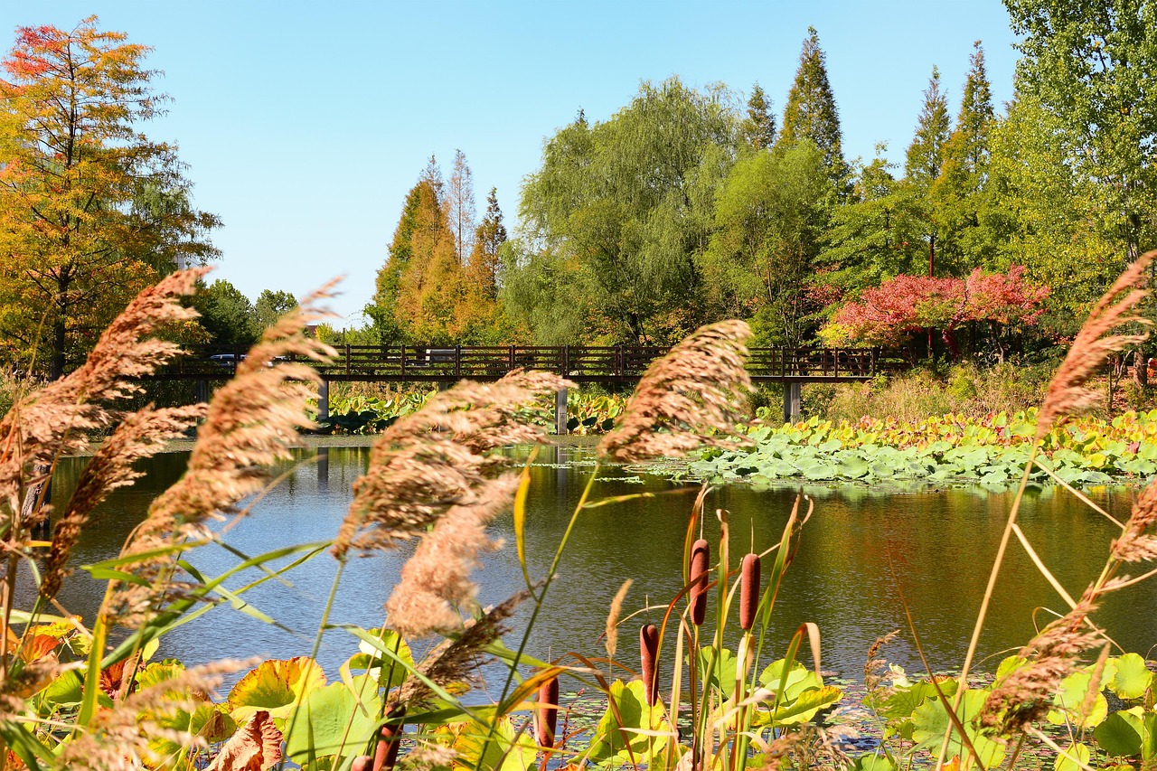 가을 단풍 풍경 사진