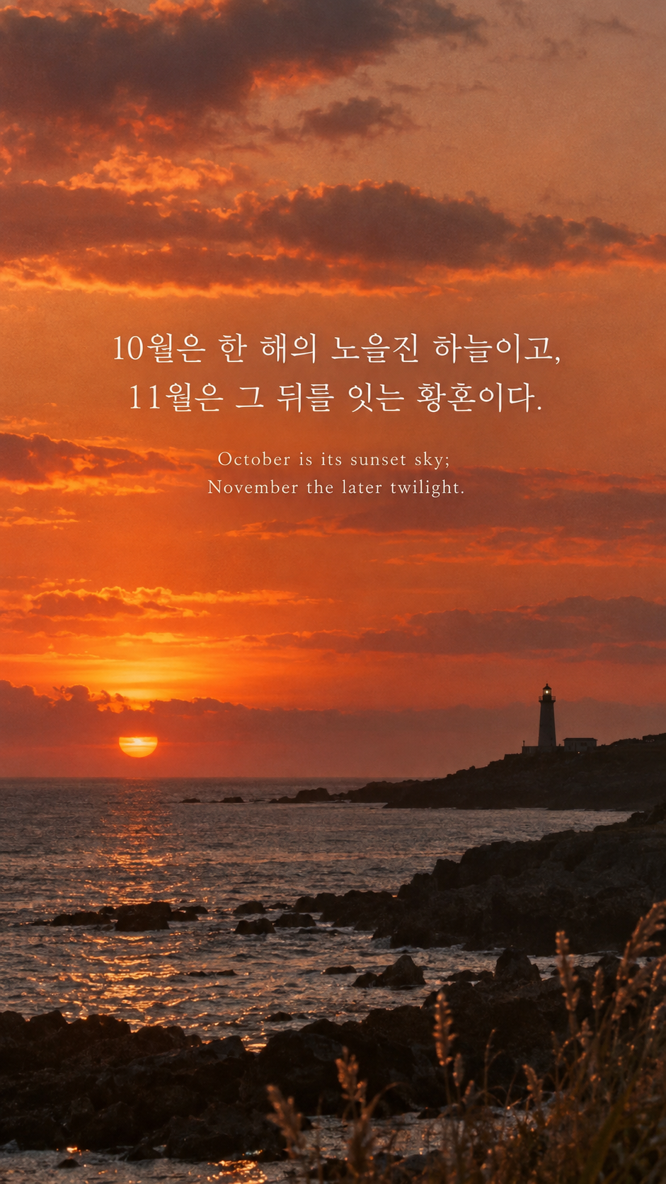 헨리 데이비드 소로의 한 해의 저녁에 관한 가을 글귀 &mdash; 한글과 영어 원문을 담은 아날로그 필름 사진
