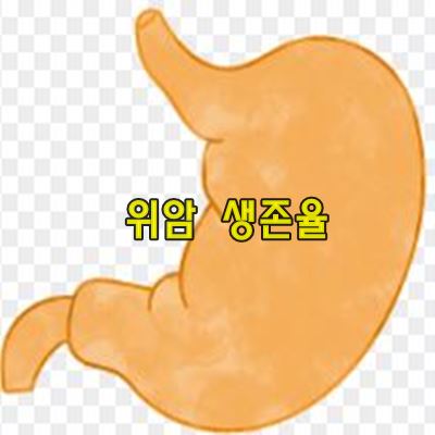 위암 생존율