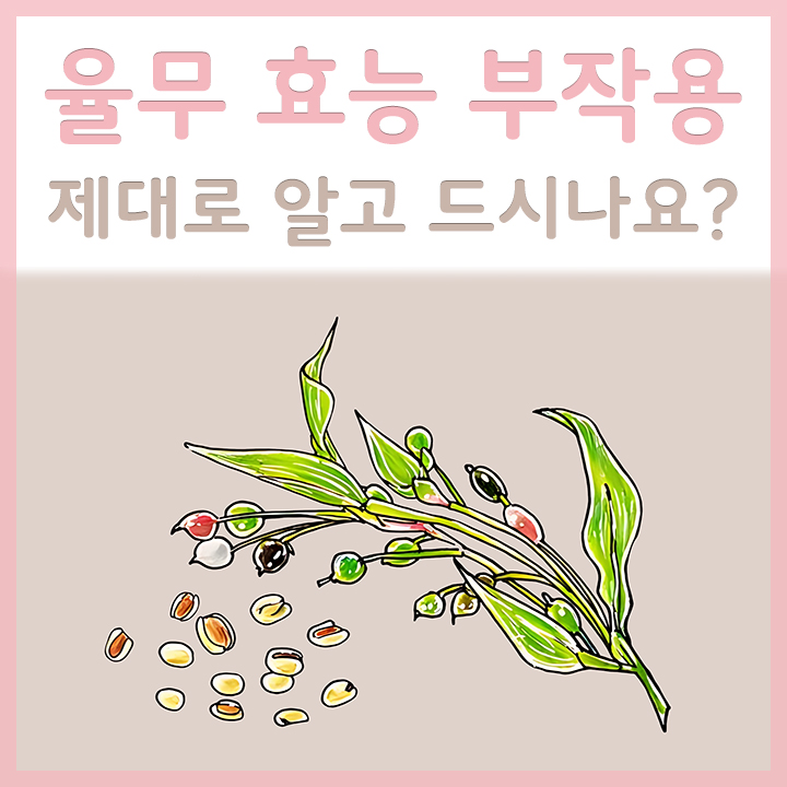 율무
