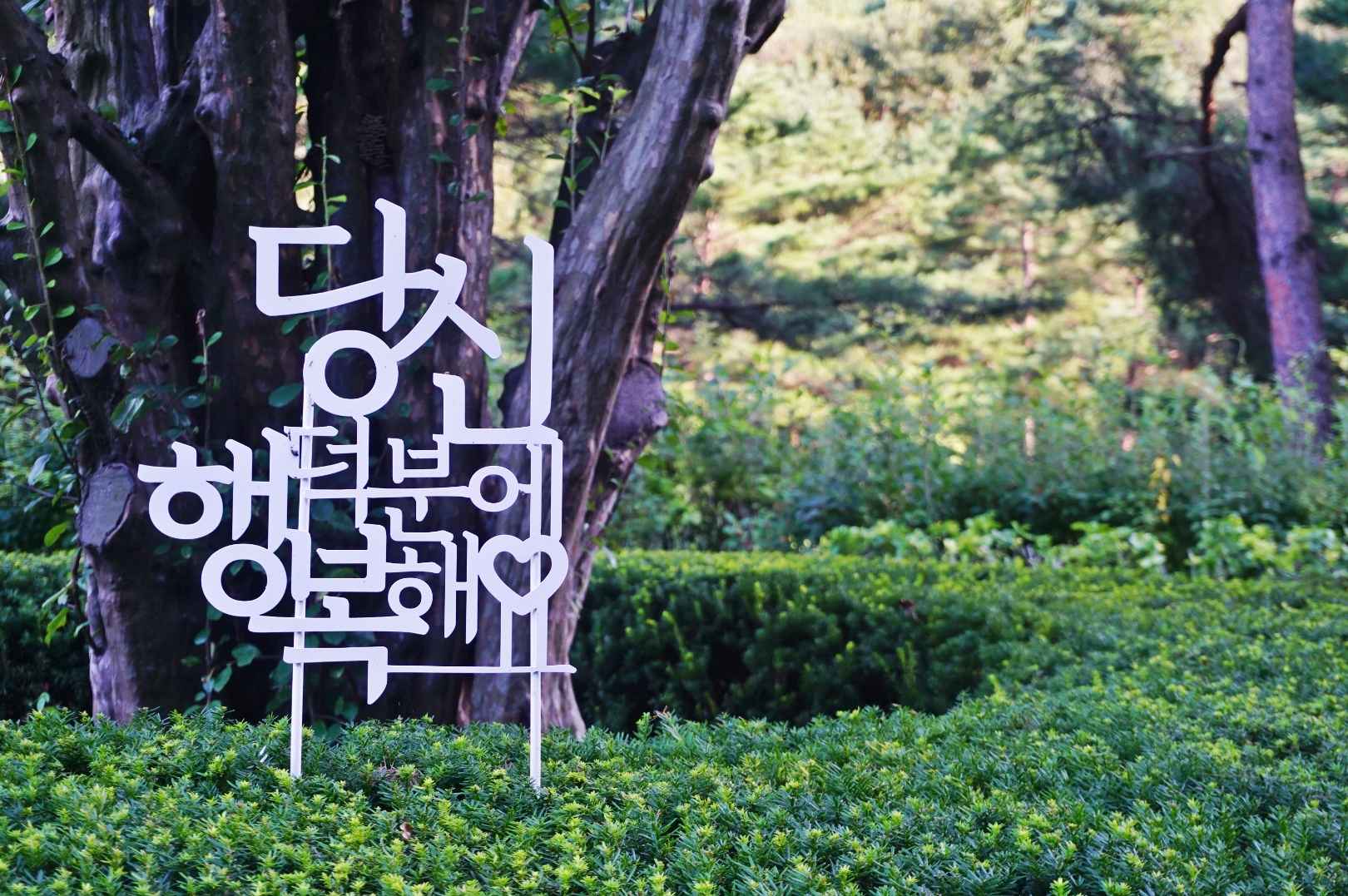 솔향수목원