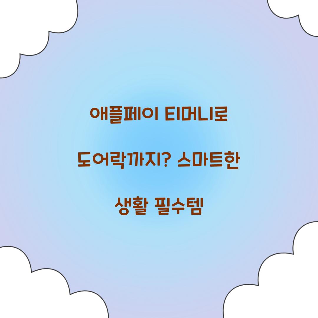 애플페이 티머니 도어락