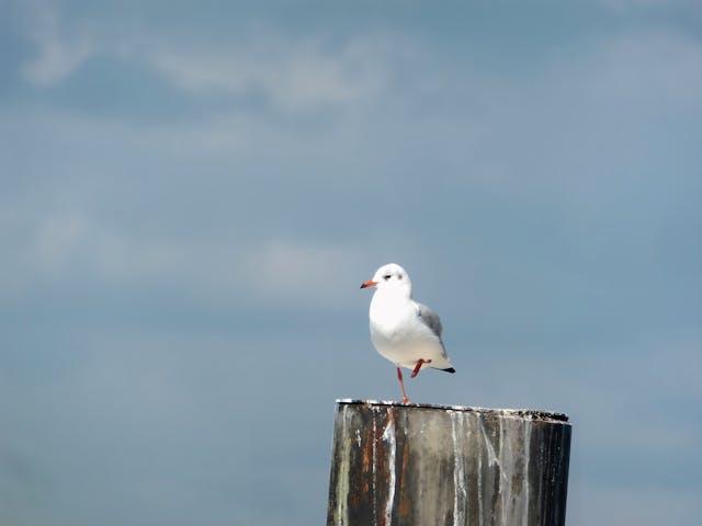 경상도 포구 장터 기록
