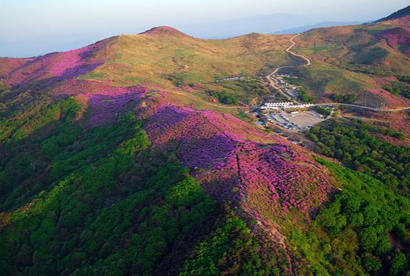 황매산 오토캠핑장 사이트