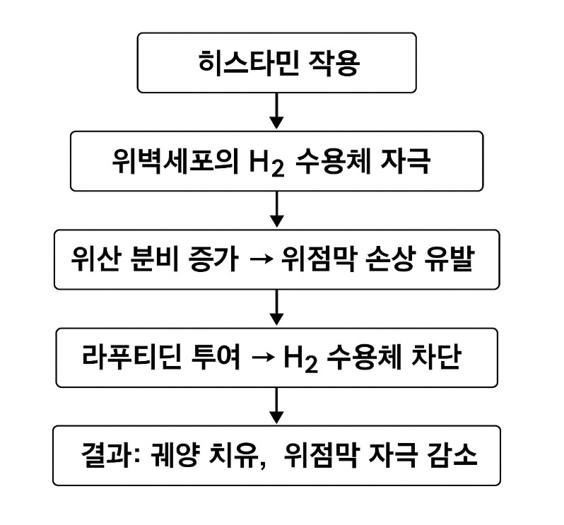 히스타민이-작용하는-원리를-단계적으로-표현하고-있습니다.