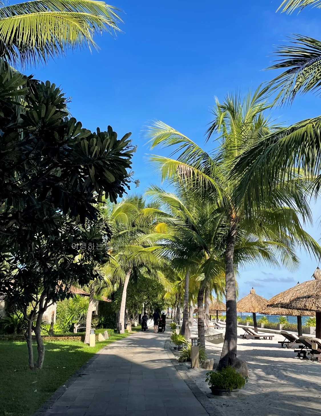 부모님이랑-나트랑-3박4일-자유여행-판랑사막투어-빈원더스-호핑투어-여행코스