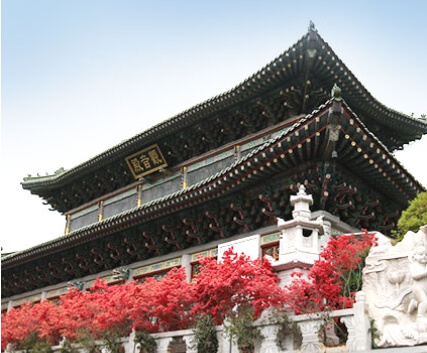 강진 남미륵사 : 전라남도 강진에서 만나는 한국 최대 미륵불 도량