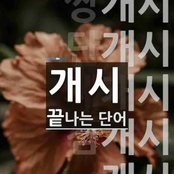 개시 게시 계시 맞춤법 뜻 차이_7