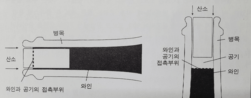 올바른 와인 보관 방법: 공기와 접촉하지 않도록 눕혀서 보관 한다